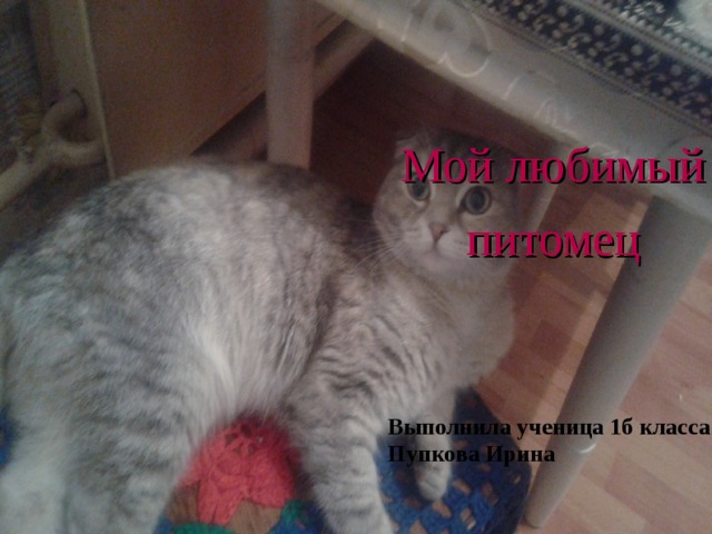 Мой любимый питомец Выполнила ученица 1б класса Пупкова Ирина  