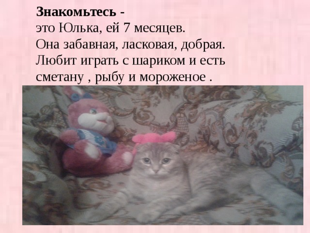 Знакомьтесь - это Юлька, ей 7 месяцев. Она забавная, ласковая, добрая. Любит играть с шариком и есть сметану , рыбу и мороженое .  