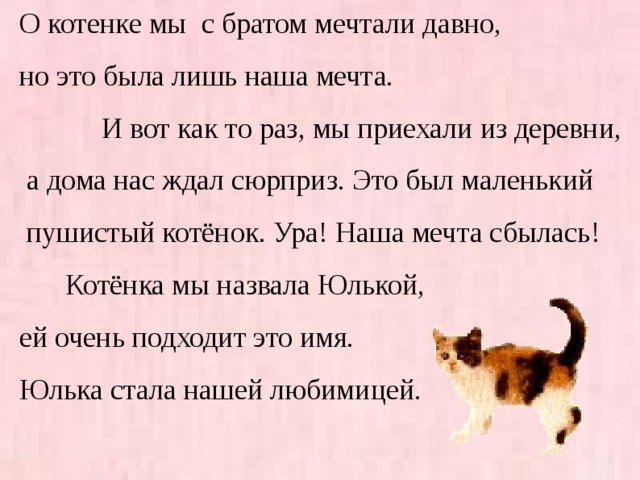 О котенке мы с братом мечтали давно, но это была лишь наша мечта.   И вот как то раз, мы приехали из деревни,  а дома нас ждал сюрприз. Это был маленький  пушистый котёнок. Ура! Наша мечта сбылась!  Котёнка мы назвала Юлькой, ей очень подходит это имя. Юлька стала нашей любимицей.  