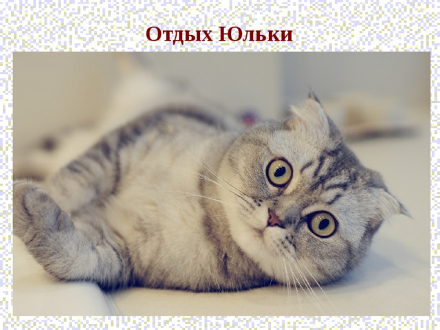 Отдых Юльки  