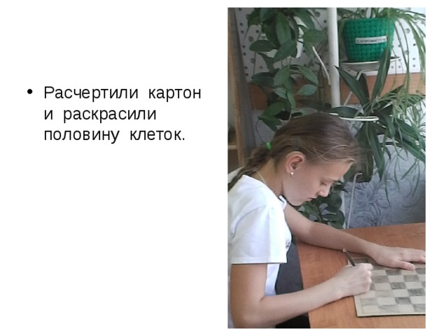 Расчертили картон и раскрасили половину клеток. 