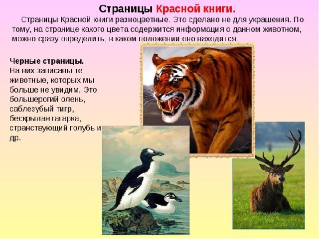 Красная книга карелии презентация