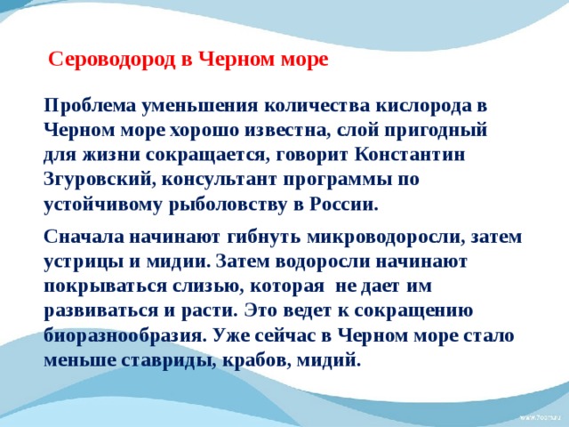 Сероводород в Черном море Проблема уменьшения количества кислорода в Черном море хорошо известна, слой пригодный для жизни сокращается, говорит Константин Згуровский, консультант программы по устойчивому рыболовству в России. Сначала начинают гибнуть микроводоросли, затем устрицы и мидии. Затем водоросли начинают покрываться слизью, которая не дает им развиваться и расти. Это ведет к сокращению биоразнообразия. Уже сейчас в Черном море стало меньше ставриды, крабов, мидий. 