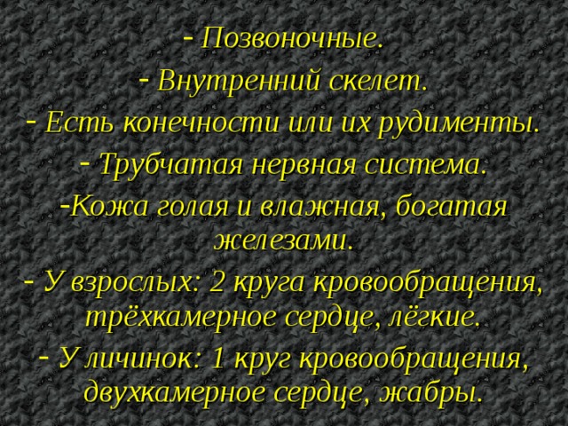  Позвоночные.  Внутренний скелет.  Есть конечности или их рудименты.  Трубчатая нервная система. Кожа голая и влажная, богатая железами.  У взрослых: 2 круга кровообращения, трёхкамерное сердце, лёгкие.  У личинок: 1 круг кровообращения, двухкамерное сердце, жабры.  