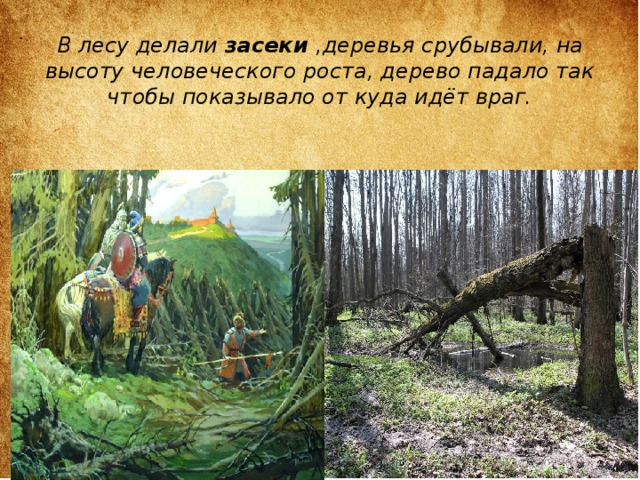 Засека это в древней Руси. Засека из деревьев. Оборонительные Лесные Засеки. Засека это в истории. Засеки 7