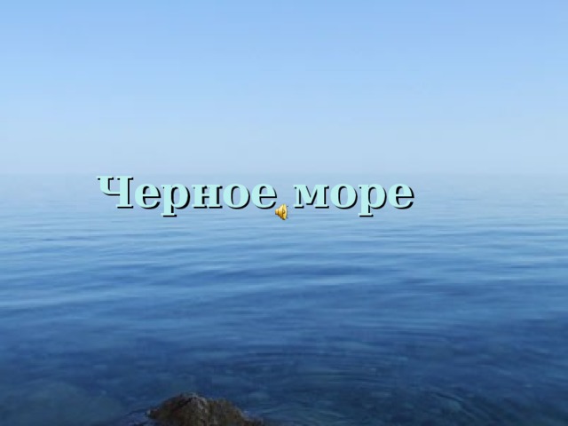  Черное море 