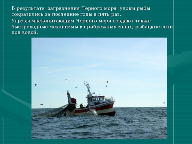 В результате  загрязнения Черного моря  уловы рыбы сократились за последние годы в пять раз. Угрозы млекопитающим Черного моря создают также быстроходные механизмы в прибрежных зонах, рыбацкие сети под водой. 