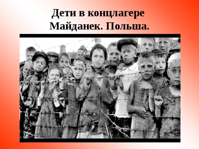 Дети в концлагере  Майданек. Польша. 