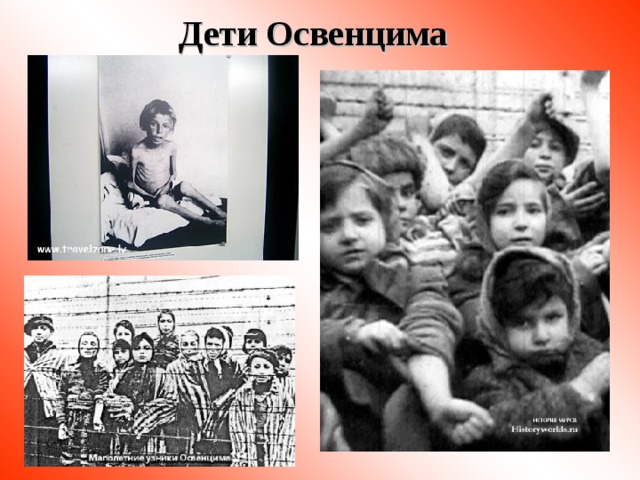 Дети Освенцима 