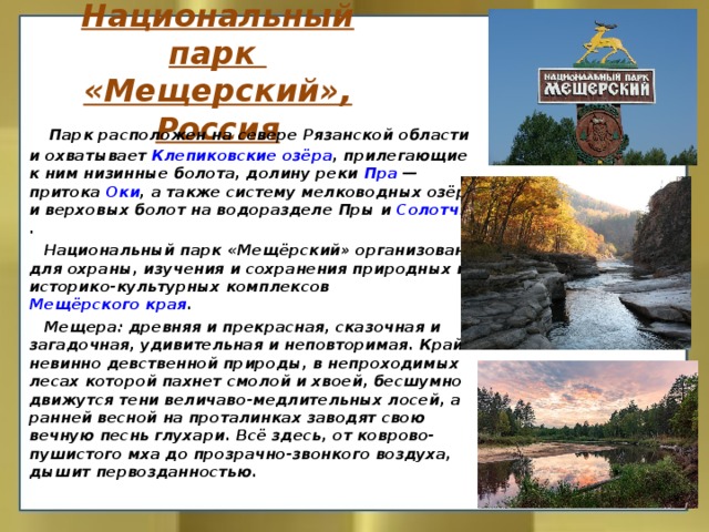 Национальный парк  «Мещерский», Россия  Парк расположен на севере Рязанской области и охватывает  Клепиковские озёра , прилегающие к ним низинные болота, долину реки  Пра  — притока  Оки , а также систему мелководных озёр и верховых болот на водоразделе Пры и  Солотчи .  Национальный парк «Мещёрский» организован для охраны, изучения и сохранения природных и историко-культурных комплексов  Мещёрского края .  Мещера: древняя и прекрасная, сказочная и загадочная, удивительная и неповторимая. Край невинно девственной природы, в непроходимых лесах которой пахнет смолой и хвоей, бесшумно движутся тени величаво-медлительных лосей, а ранней весной на проталинках заводят свою вечную песнь глухари. Всё здесь, от коврово-пушистого мха до прозрачно-звонкого воздуха, дышит первозданностью. 