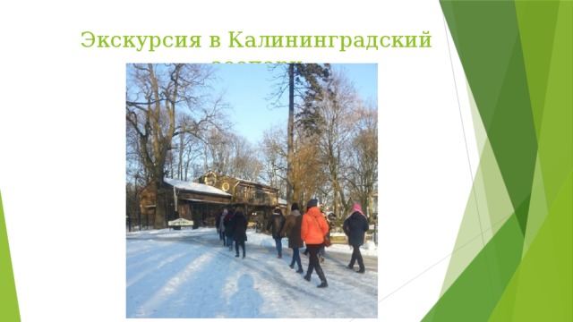 Экскурсия в Калининградский зоопарк 