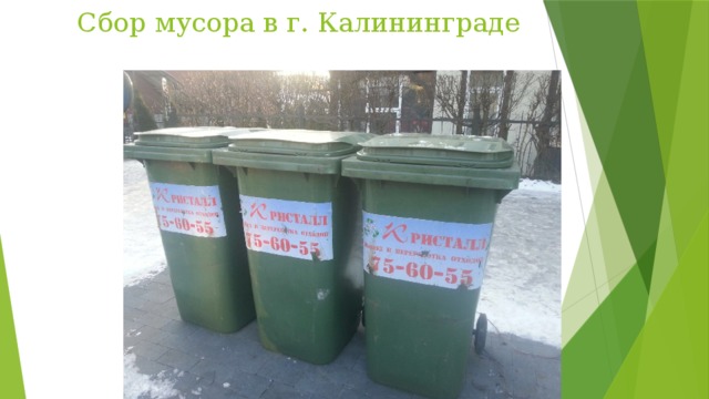 Сбор мусора в г. Калининграде 
