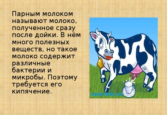 Получается сразу. Молоко которое получено сразу после. Молоко полученное сразу после дойки. Название парного молока. Парным молоком.