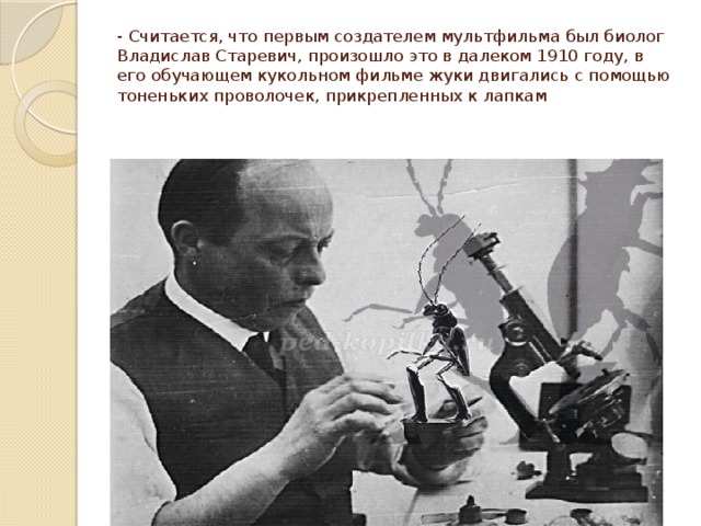 - Считается, что первым создателем мультфильма был биолог Владислав Старевич, произошло это в далеком 1910 году, в его обучающем кукольном фильме жуки двигались с помощью тоненьких проволочек, прикрепленных к лапкам 