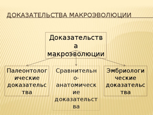 Доказательство группы. Доказательства макроэволюции. Палеонтологические доказательства макроэволюции. Макроэволюция доказательства эволюции. Доказательства эволюции макроэволюции.