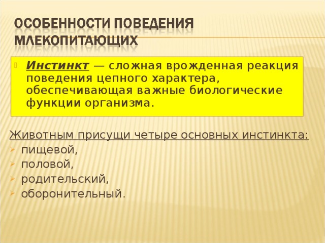 Особенности поведения млекопитающих. Сложное поведение млекопитающих. Инстинкты млекопитающих. Тема проекта сложное поведение млекопитающих.