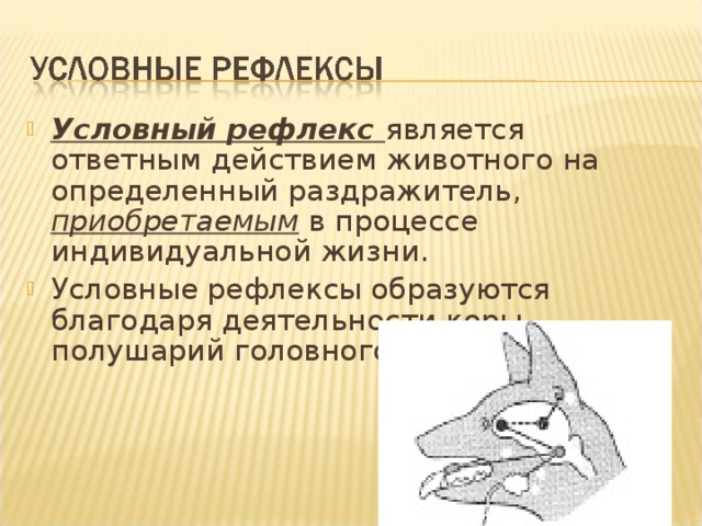 Условные рефлексы у рыб. Условные рефлексы являются. Условные рефлексы образуются. Безусловные рефлексы млекопитающих. У млекопитающих условные рефлексы.