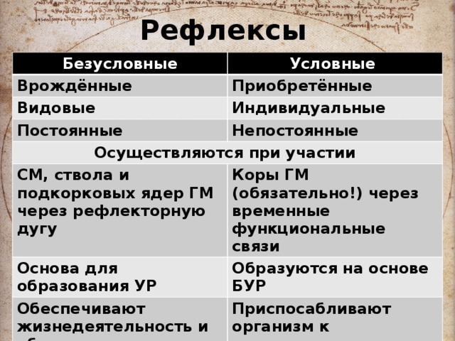 Рефлексы Безусловные Условные Врождённые Приобретённые Видовые Индивидуальные Постоянные Непостоянные Осуществляются при участии СМ, ствола и подкорковых ядер ГМ через рефлекторную дугу Коры ГМ (обязательно!) через временные функциональные связи Основа для образования УР Образуются на основе БУР Обеспечивают жизнедеятельность и оборонительные реакции Приспосабливают организм к меняющимся условиям внешней среды 