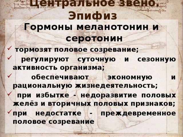 Центральное звено. Эпифиз Гормоны меланотонин и серотонин  тормозят половое созревание;  регулируют суточную и сезонную активность организма;  обеспечивают экономную и рациональную жизнедеятельность;  при избытке - недоразвитие половых желёз и вторичных половых признаков; при недостатке - преждевременное половое созревание  