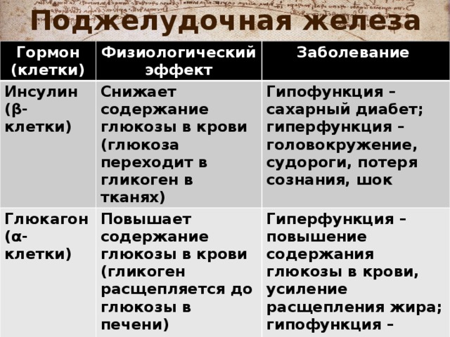 Поджелудочная железа Гормон (клетки) Физиологический эффект Инсулин Заболевание (β-клетки) Снижает содержание глюкозы в крови (глюкоза переходит в гликоген в тканях) Глюкагон Гипофункция – сахарный диабет; гиперфункция – головокружение, судороги, потеря сознания, шок (α-клетки) Повышает содержание глюкозы в крови (гликоген расщепляется до глюкозы в печени) Гиперфункция – повышение содержания глюкозы в крови, усиление расщепления жира; гипофункция – нарушение синтеза инсулина 