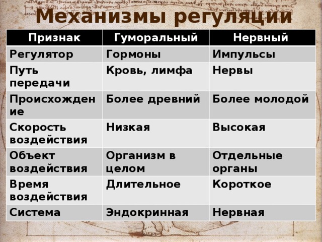 Механизмы регуляции Признак Гуморальный Регулятор Нервный Гормоны Путь передачи Импульсы Кровь, лимфа Происхождение Нервы Более древний Скорость воздействия Объект воздействия Более молодой Низкая Высокая Организм в целом Время воздействия Отдельные органы Длительное Система Короткое Эндокринная Нервная 