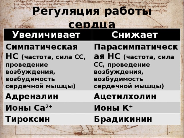 Регуляция работы сердца Увеличивает Снижает Симпатическая НС (частота, сила СС, проведение возбуждения, возбудимость сердечной мышцы) Парасимпатическая НС (частота, сила СС, проведение возбуждения, возбудимость сердечной мышцы) Адреналин Ацетилхолин Ионы Са 2+ Ионы К + Тироксин Брадикинин 