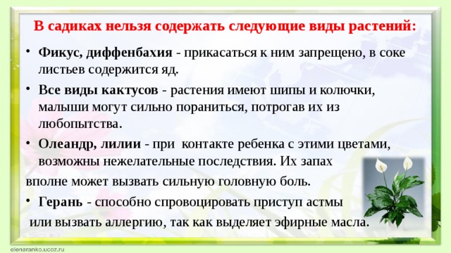 Содержание нельзя. Приёмы ознакомления детей с комнатными растениями.