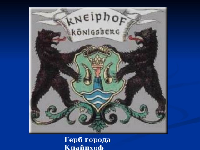 Герб города Кнайпхоф 