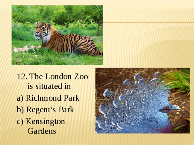 12. The London Zoo is situated in a) Richmond Park b) Regent’s Park c) Kensington Gardens 