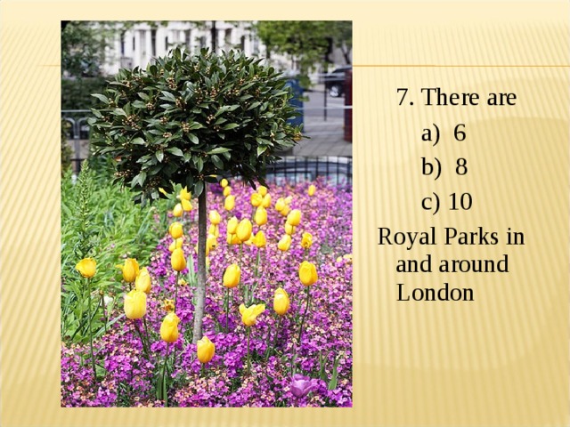  7. There are  a) 6  b) 8  c) 10  Royal Parks in and around London 