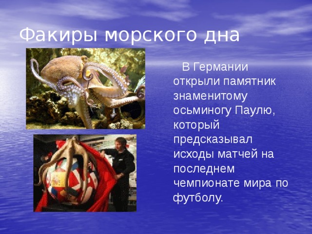 Факиры морского дна  В Германии открыли памятник знаменитому осьминогу Паулю, который предсказывал исходы матчей на последнем чемпионате мира по футболу. 