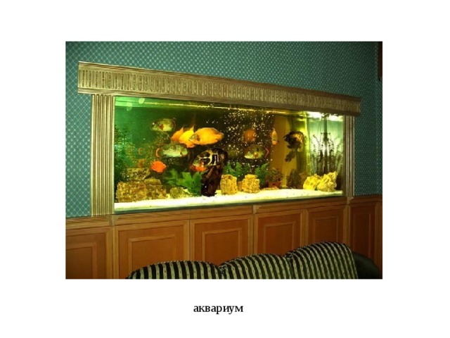 аквариум 