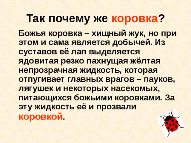 Так почему же коровка ? Божья коровка – хищный жук, но при этом и сама является добычей. Из суставов её лап выделяется ядовитая резко пахнущая жёлтая непрозрачная жидкость, которая отпугивает главных врагов – пауков, лягушек и некоторых насекомых, питающихся божьими коровками. За эту жидкость её и прозвали коровкой . 