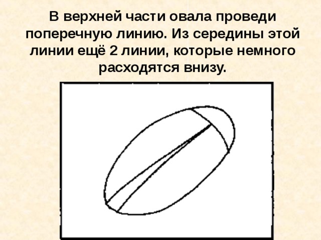 В верхней части овала проведи поперечную линию. Из середины этой линии ещё 2 линии, которые немного расходятся внизу. 