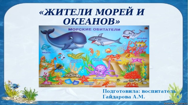 Животные водоемов морей и океанов занятие в подготовительной группе презентация