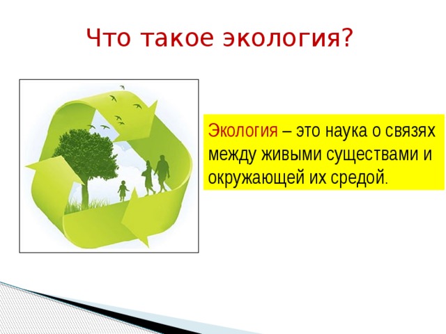 Что такое экология? Экология – это наука о связях между живыми существами и окружающей их средой . 