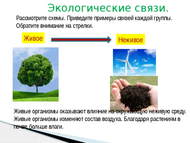 Приведи примеры между человеком и природой. Экологические связи 3 класс окружающий мир. Примеры экологических связей. Взаимосвязь природы и экологии.