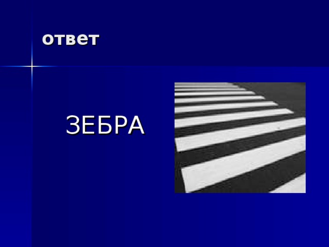 ответ  ЗЕБРА 