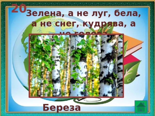 Зелена а не луг бела а не снег кудрява а без волос что это