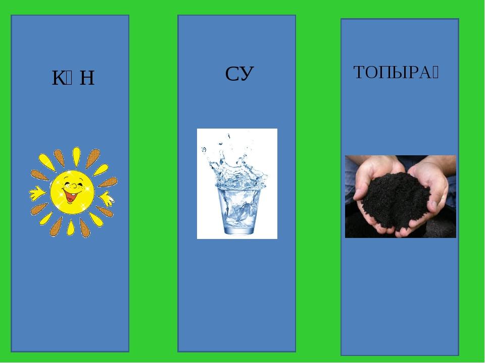 Өсімдіктерді қалай күту қажет жаратылыстану тех карта