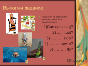 Урок английского языка глагол can. Смотреть фото Урок английского языка глагол can. Смотреть картинку Урок английского языка глагол can. Картинка про Урок английского языка глагол can. Фото Урок английского языка глагол can