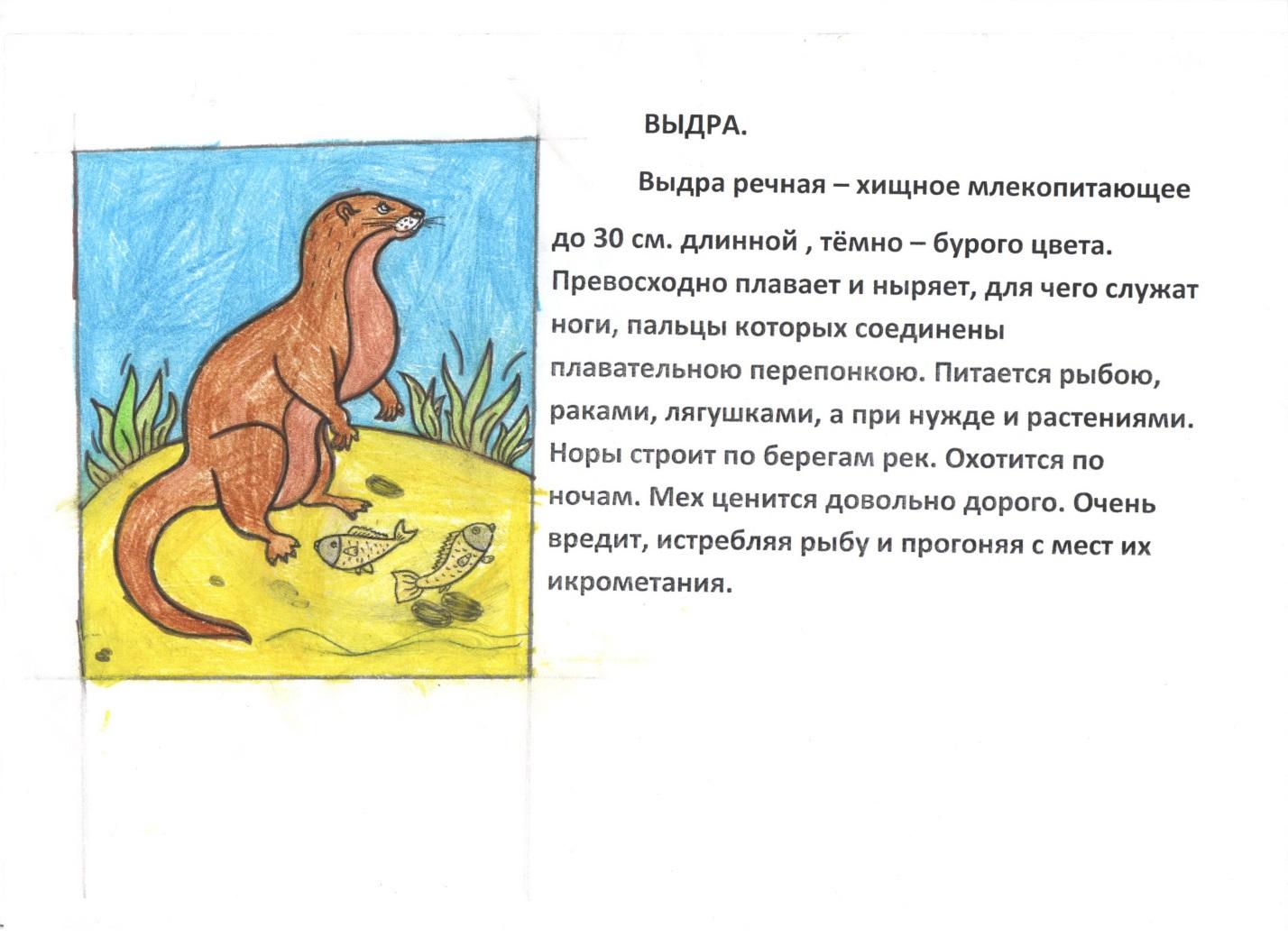Красная Книга Смоленской Области Растения