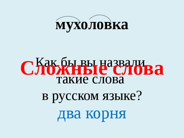 мухоловка Как бы вы назвали такие слова в русском языке? Сложные слова два корня 