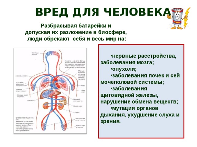 ВРЕД ДЛЯ ЧЕЛОВЕКА Разбрасывая батарейки и допуская их разложение в биосфере, люди обрекают себя и весь мир на:  нервные расстройства, заболевания мозга; опухоли; заболевания почек и сей мочеполовой системы; заболевания щитовидной железы, нарушение обмена веществ; мутации органов дыхания, ухудшение слуха и зрения.    