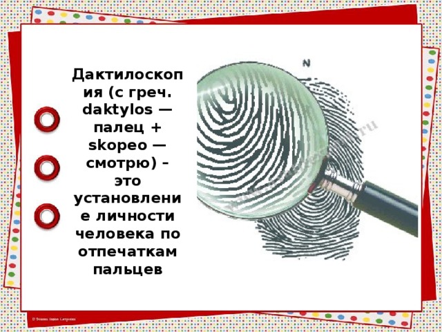 Дактилоскопия (с греч. daktylos — палец + skopeo — смотрю) – это установление личности человека по отпечаткам пальцев