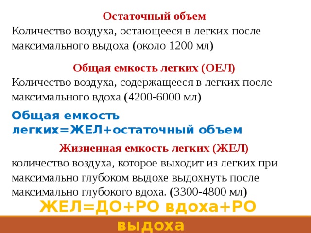 Остаточный объем Количество воздуха, остающееся в легких после максимального выдоха (около 1200 мл) Общая емкость легких (ОЕЛ) Количество воздуха, содержащееся в легких после максимального вдоха (4200-6000 мл) Общая емкость легких=ЖЕЛ+остаточный объем Жизненная емкость легких (ЖЕЛ) количество воздуха, которое выходит из легких при максимально глубоком выдохе выдохнуть после максимально глубокого вдоха. (3300-4800 мл) ЖЕЛ=ДО+РО вдоха+РО выдоха 