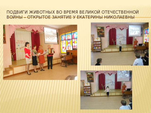 Подвиги животных во время великой отечественной войны – открытое занятие у екатерины николаевны 