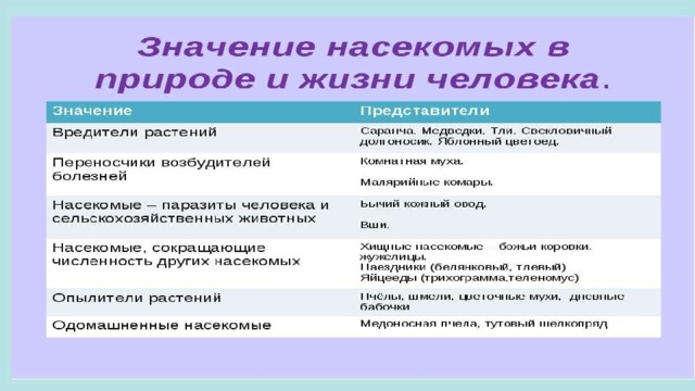 Положительная и отрицательная роль человека в природе: найдено 78 изображений