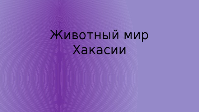 Животный мир Хакасии 