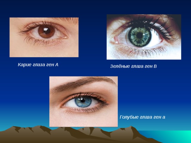 Карие глаза ген А Зелёные глаза ген В Голубые глаза ген а  